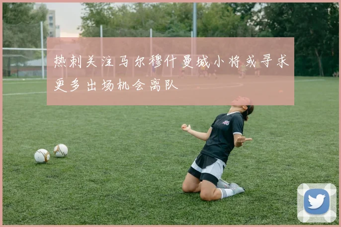 热刺关注马尔穆什曼城小将或寻求更多出场机会离队