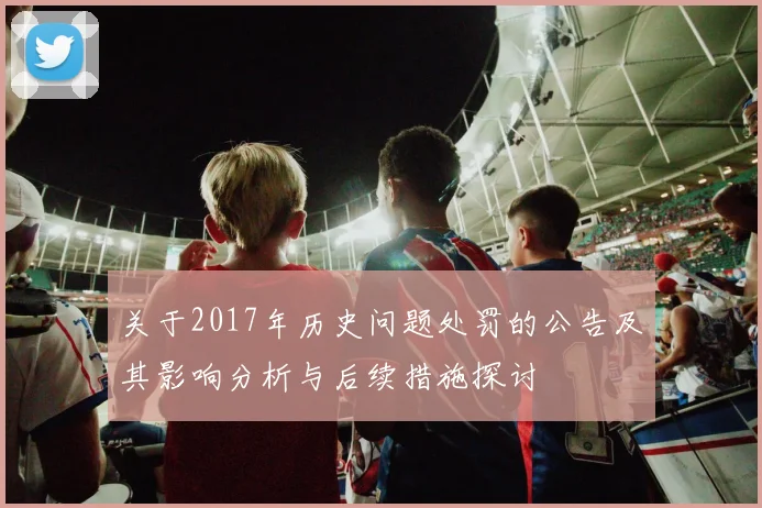 关于2017年历史问题处罚的公告及其影响分析与后续措施探讨